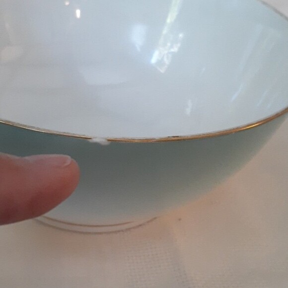 Antique D&C Limoges Bowl Hand Painted Cherry Blossom Porcelain Delinieres & Cie - Picture 4 of 12